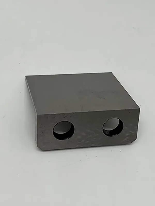 Square Shape Trimming Double-hole Die Insert for injection molding mold parts